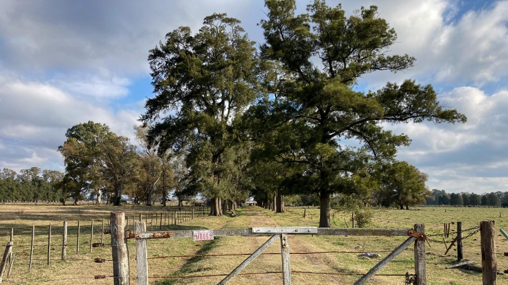 Noticias Puebla Inmobiliaria