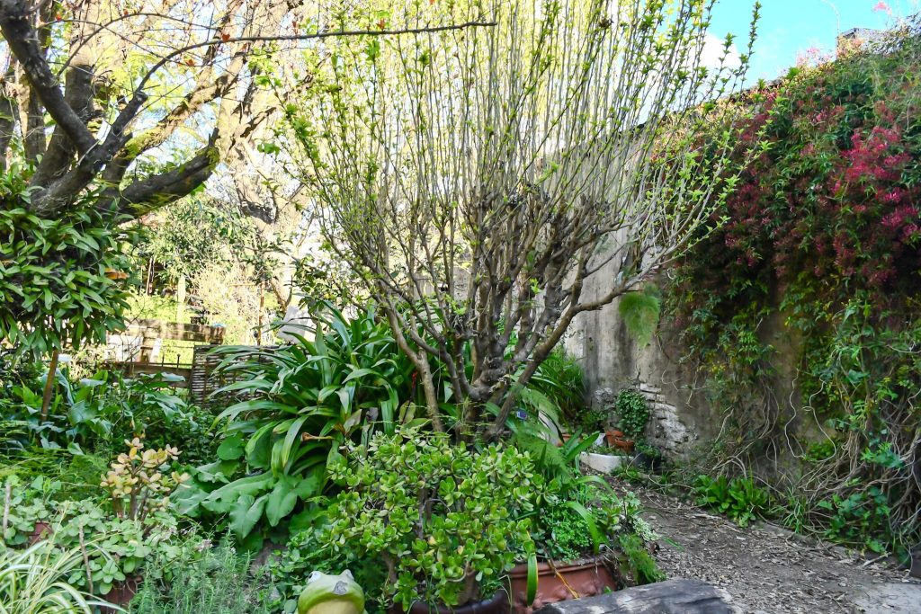 Noticias Puebla Inmobiliaria