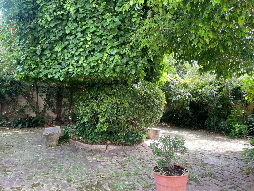 Noticias Puebla Inmobiliaria