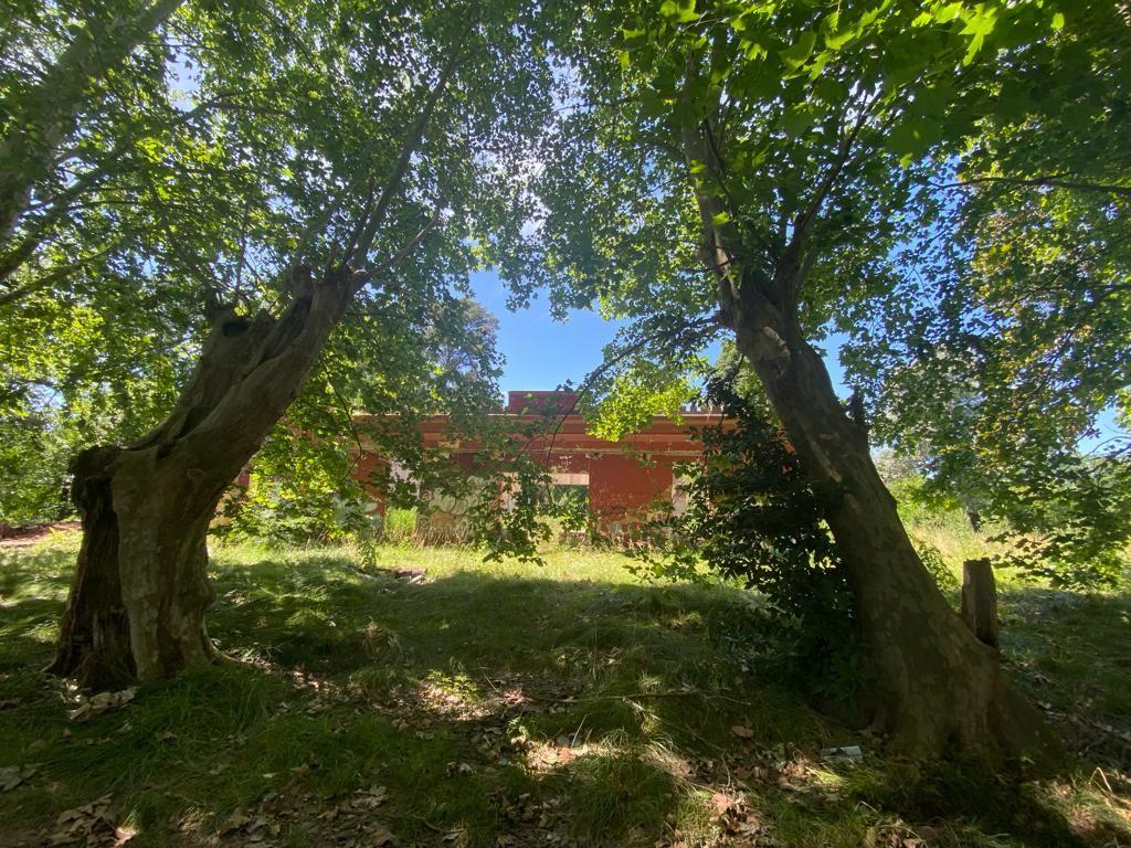 Noticias Puebla Inmobiliaria