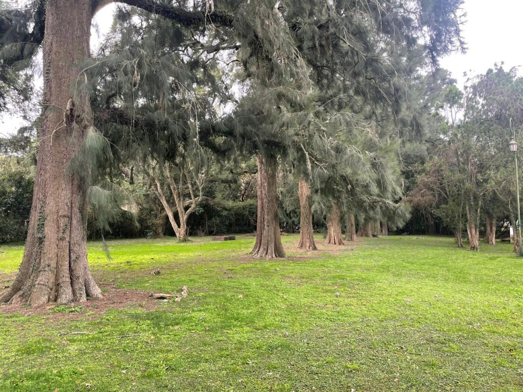 Noticias Puebla Inmobiliaria